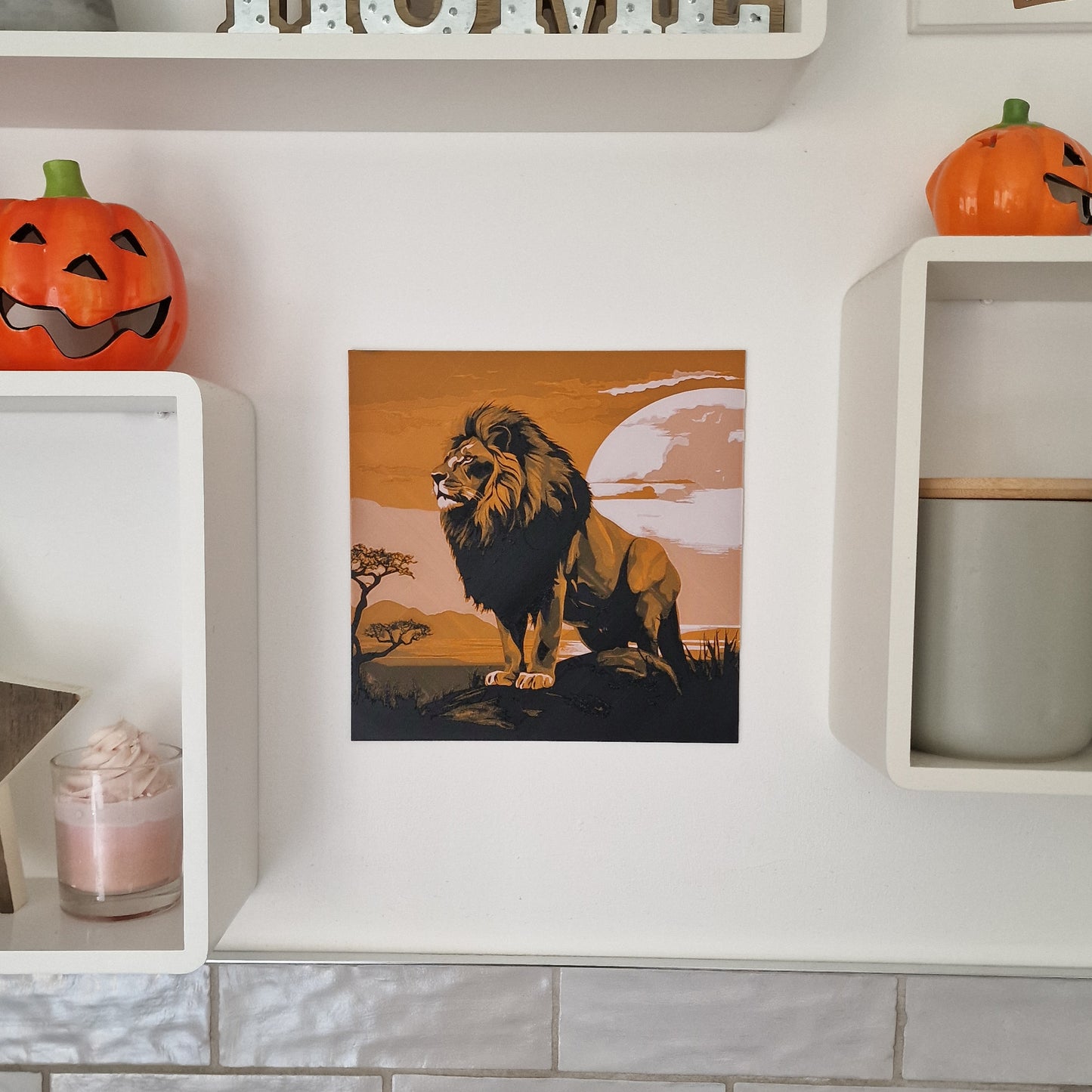 Complete Collection - Wild Africa